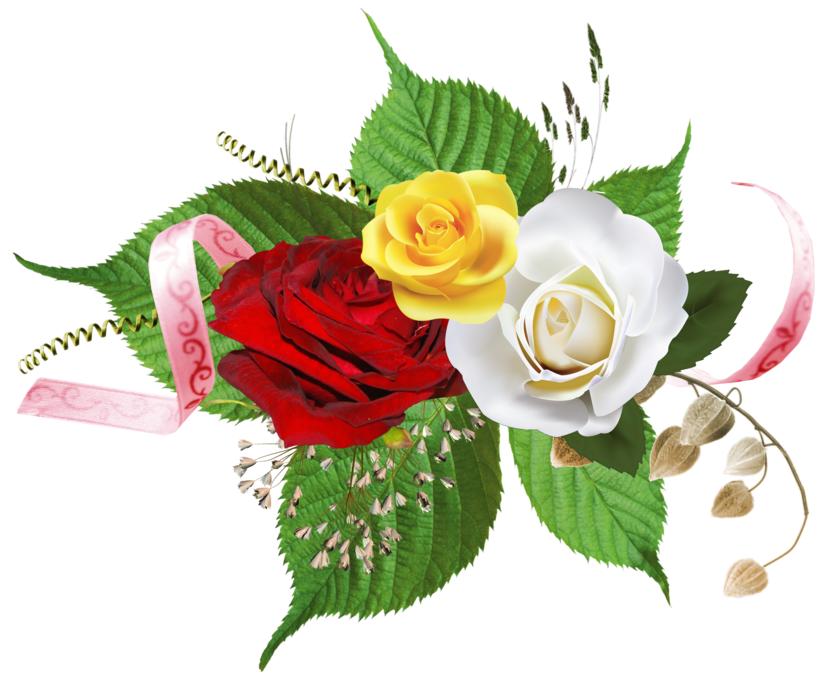 flowers roses with ornament