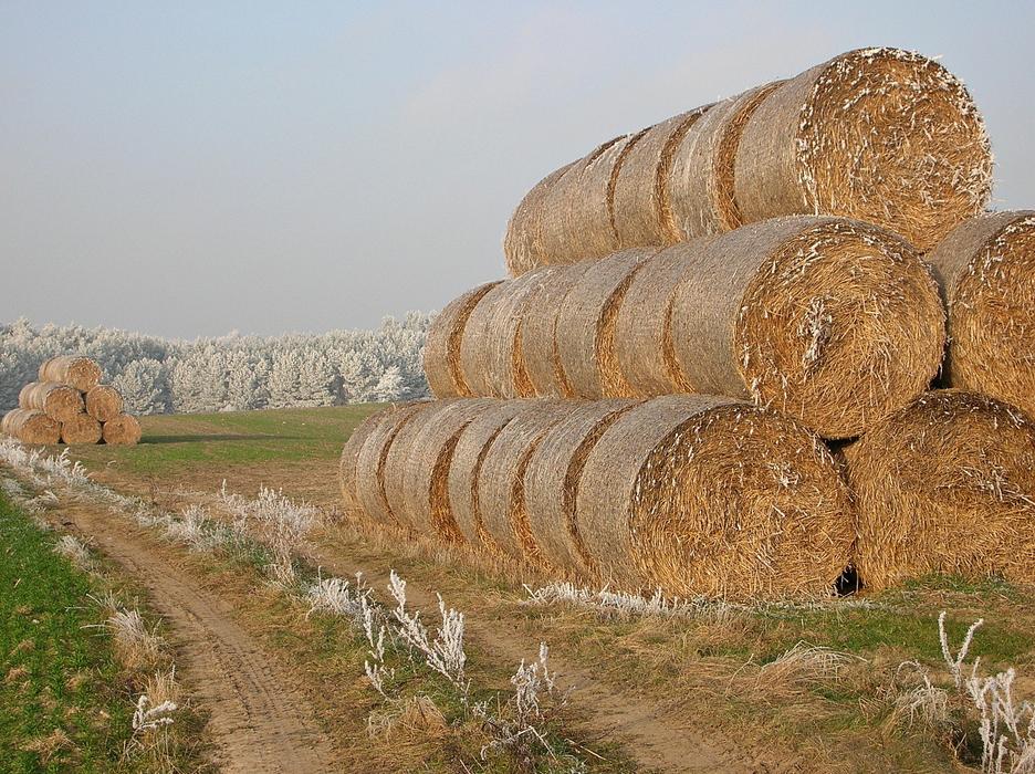 Winter Straw Frost
