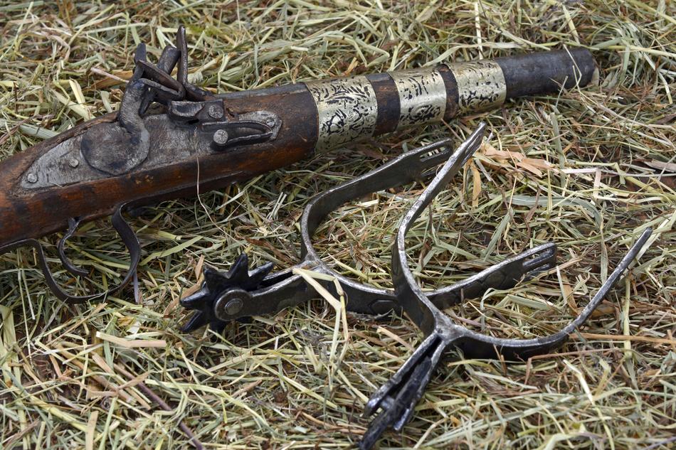 Pistol Spores Hay Wild