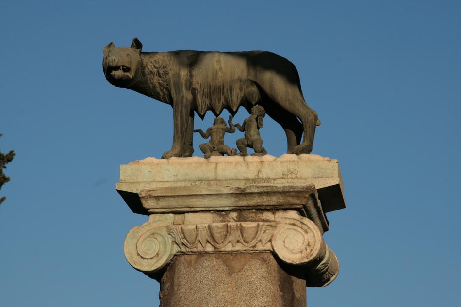The hyena dog rome