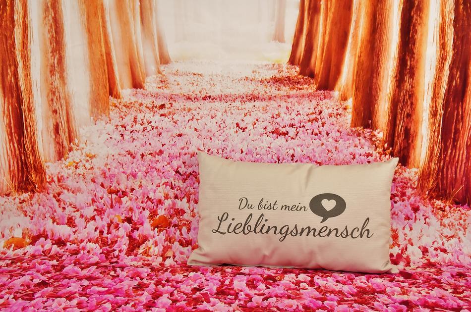 Valentine's day pink beautiful