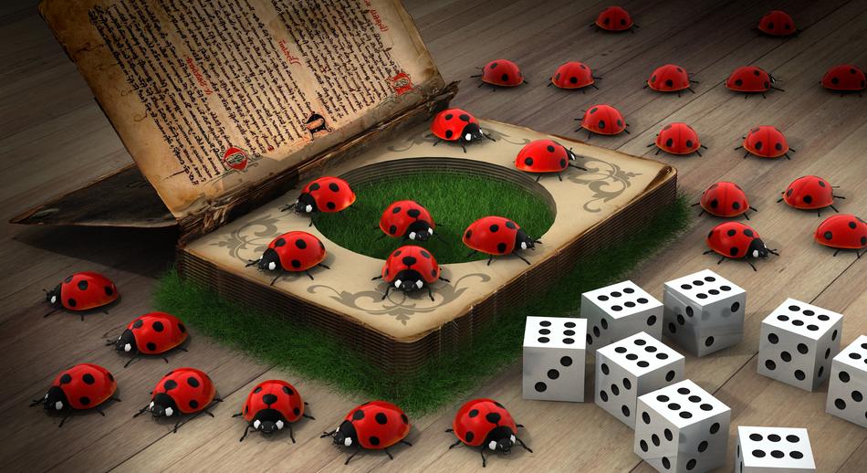 luck ladybug secret book contents