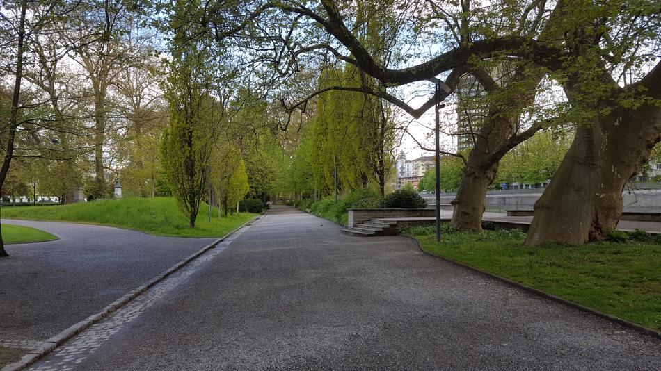 green trees road