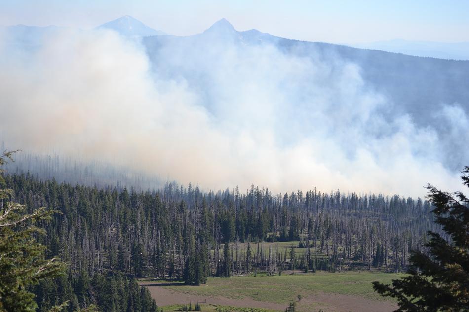 wildland fire