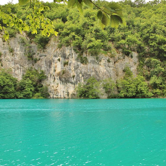 green bushes with a blue lake