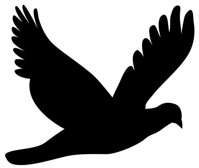 animal bird dove flying silhouette