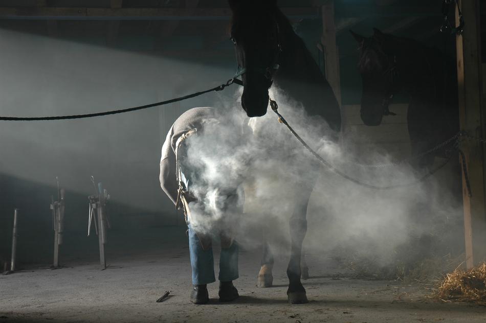 Horse Farrier Blacksmith Tools