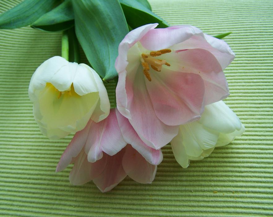 beautiful fragrant flowers bouquet