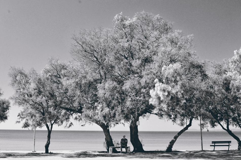 Black And White Lasndscape