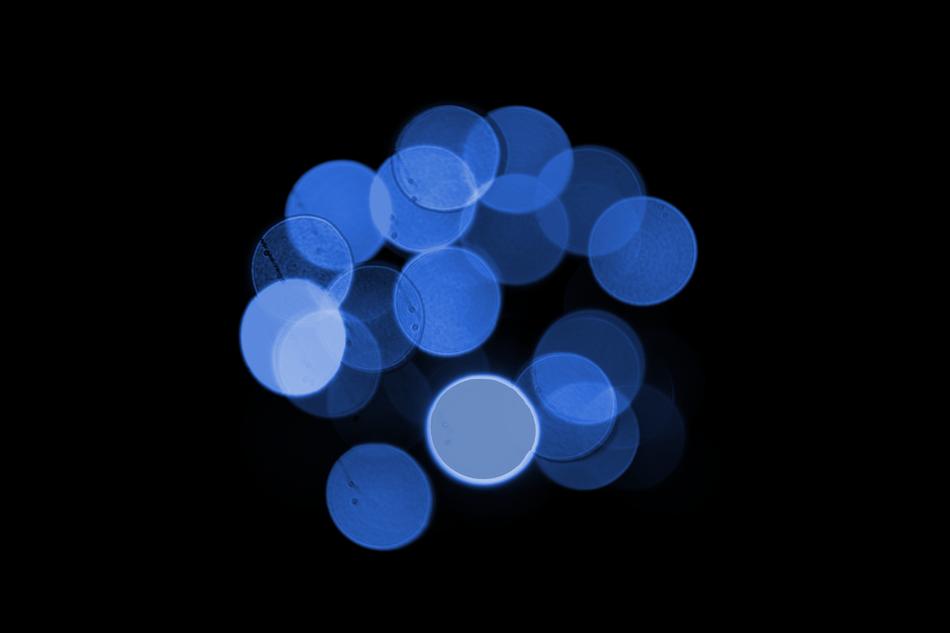 Blue Black Bokeh