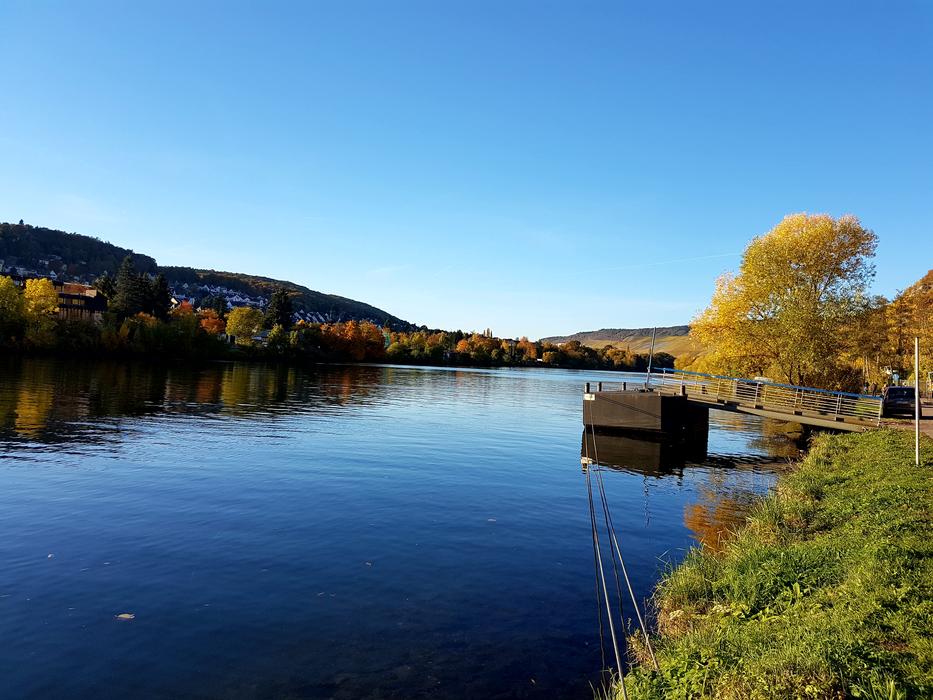 Mosel Autumn