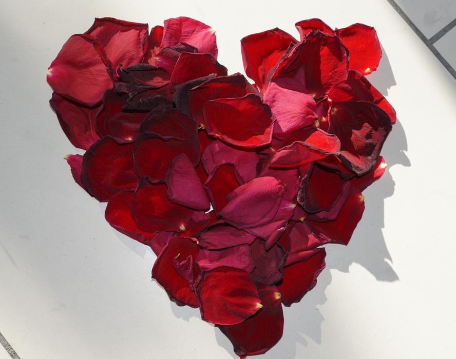 roses red heart pattern
