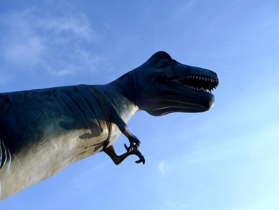 Animals Dinosaur Most