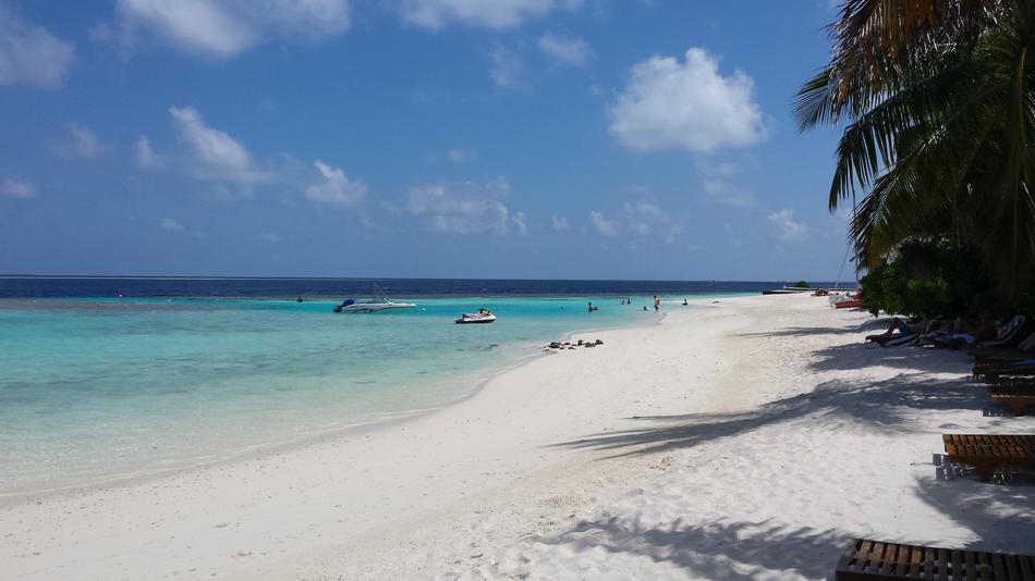 Beach Paradise Maldives Palm