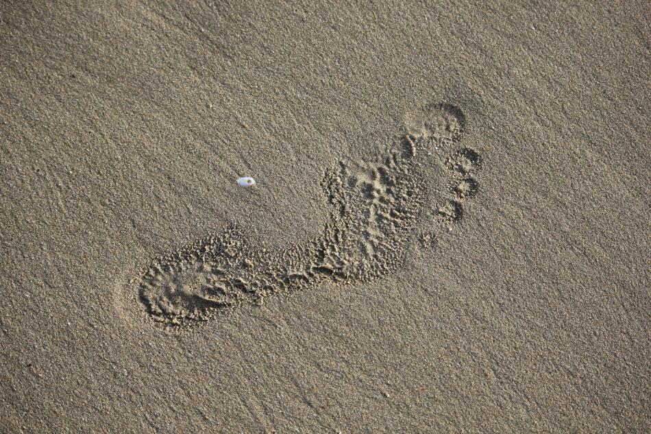 A footprint of a man on the beach