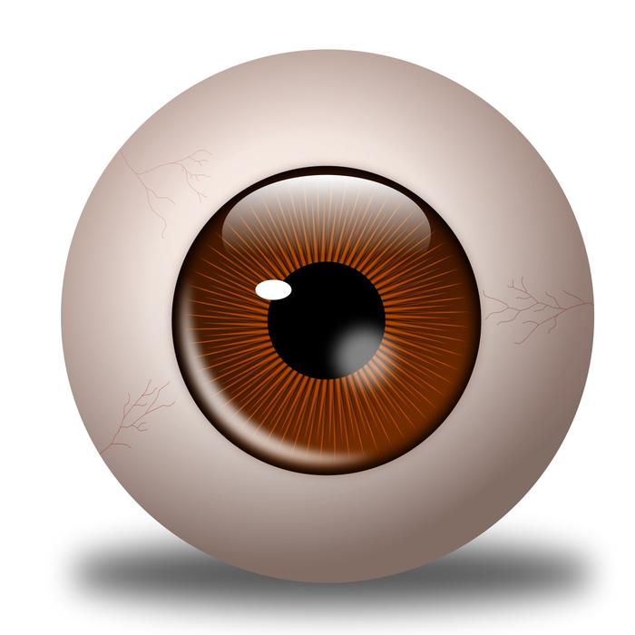 bola eye globo ocular