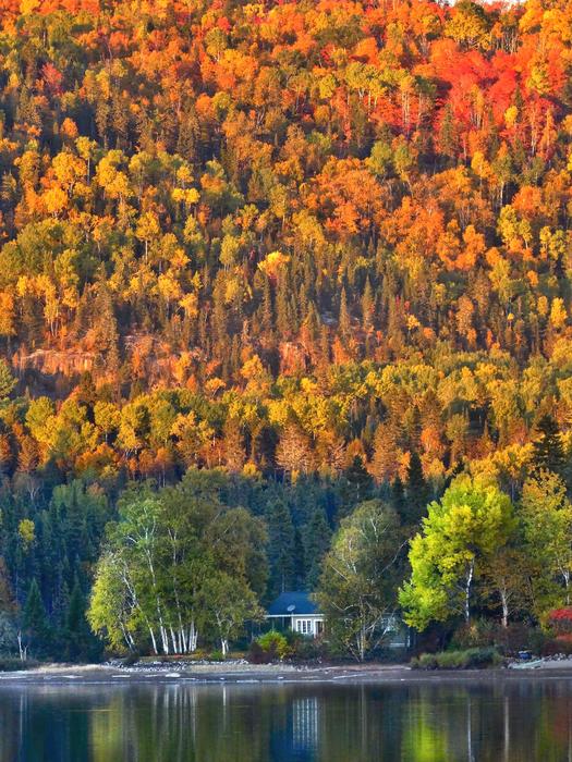 Lonely house by the autumn forest