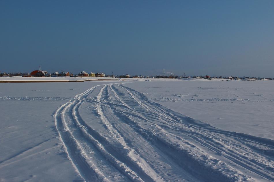 Siberia Winter Frost