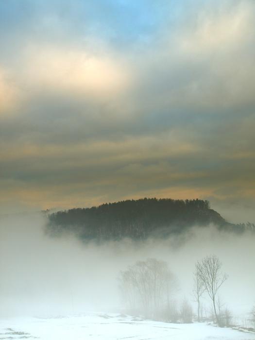 Landscape Winter The Fog
