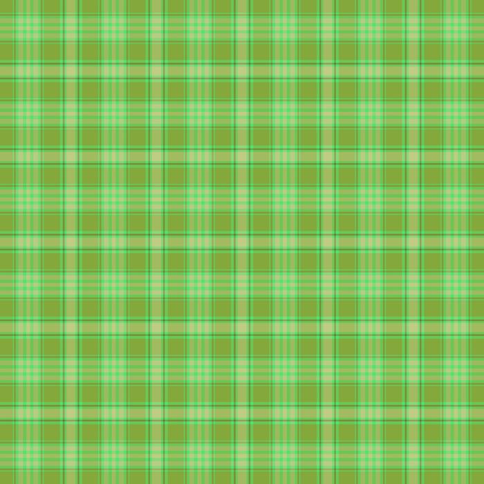 green plaid st patrick day
