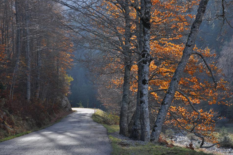 Road Small Mountain Fall