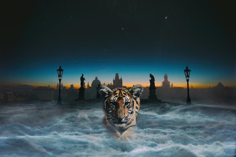 tiger thriller night monster drawing
