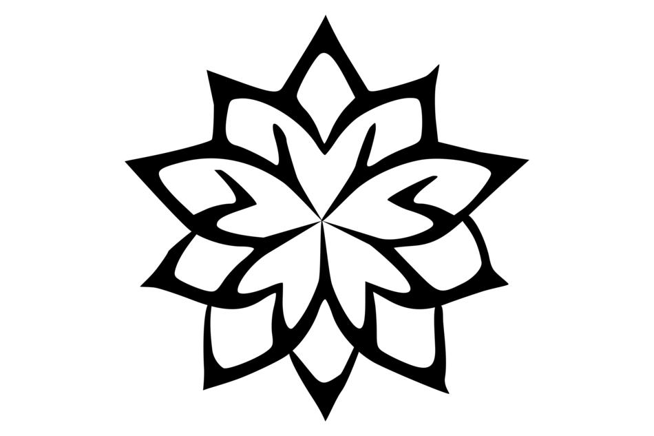 lotus flower plant lotus flower