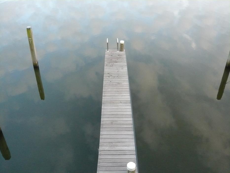 Water Web Lake