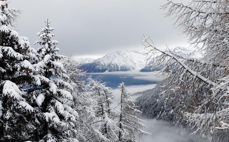 Winter Snow Christmas