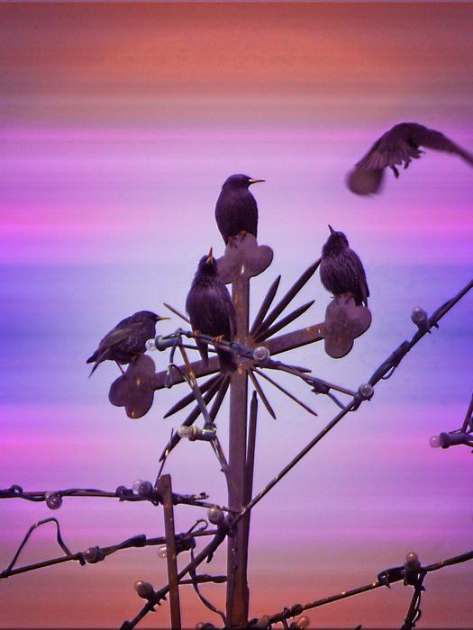 flock of birds on an iron sculpture
