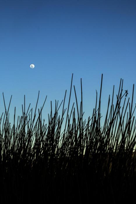 Moon Landscape Sky