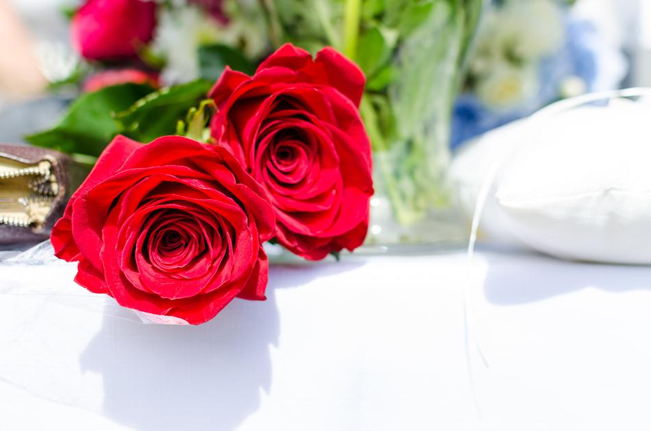 red roses holiday macro blur