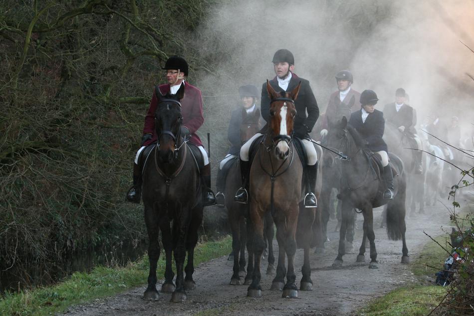 Equestrian Countryside Rural