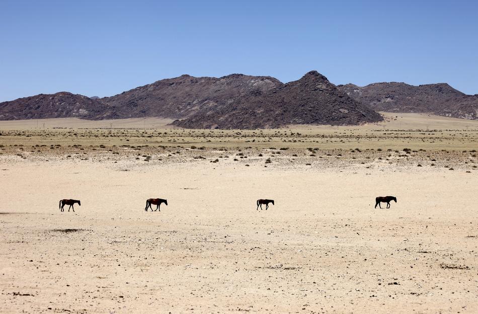 Namibia Desert Sand