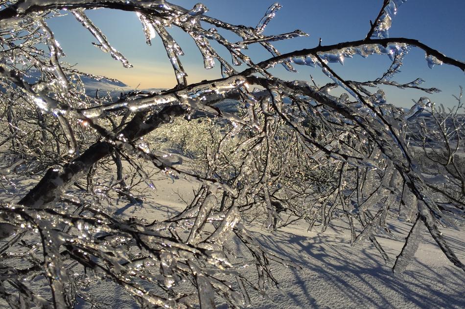 Ice Icicles Snow