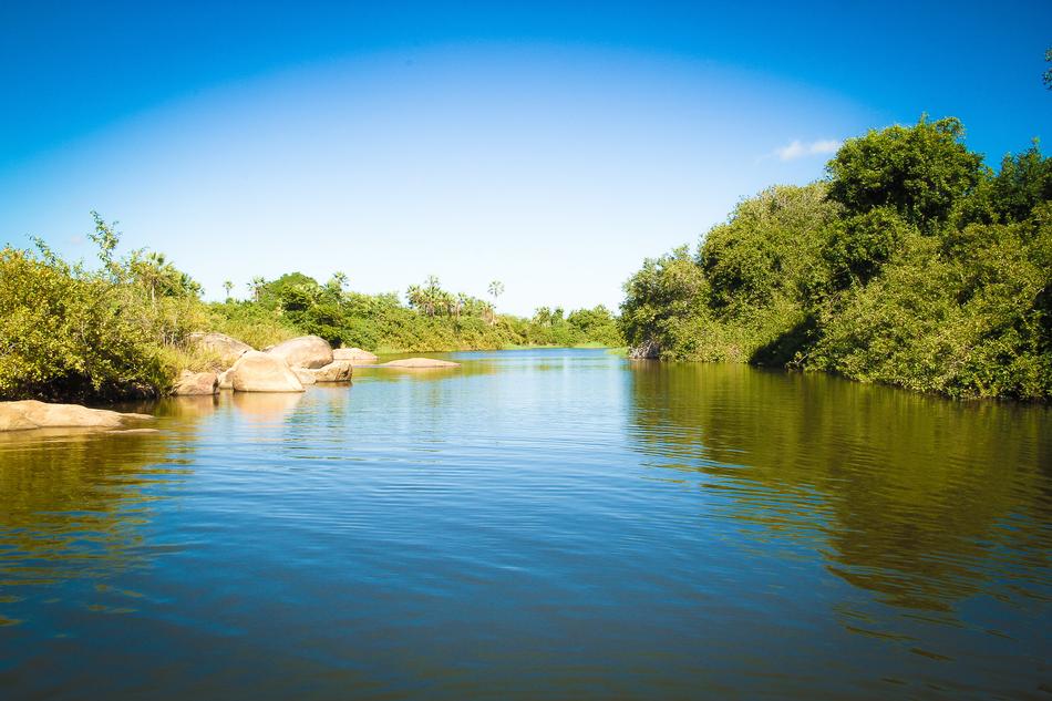 Landscape Rio Nature