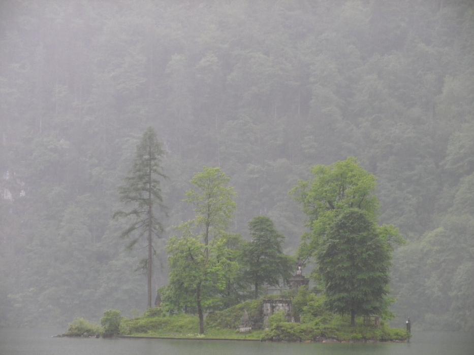 Rain Island Forest