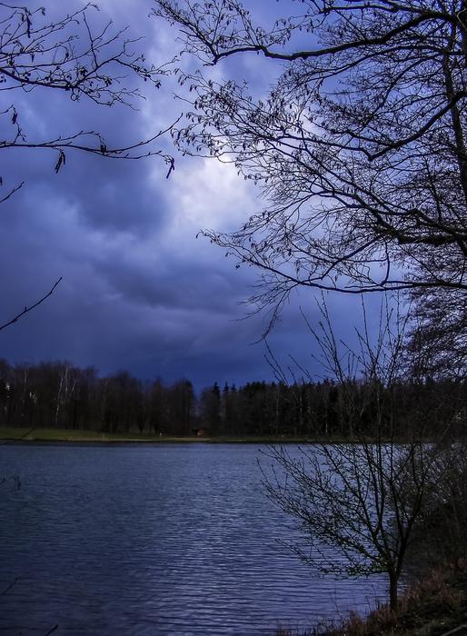 Pond Lake Water