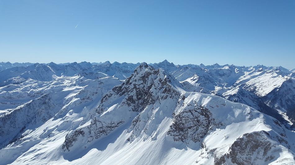 Rough Horn Allgau Tannheim