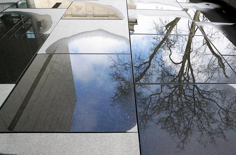 Reflection of wood in stone tiles