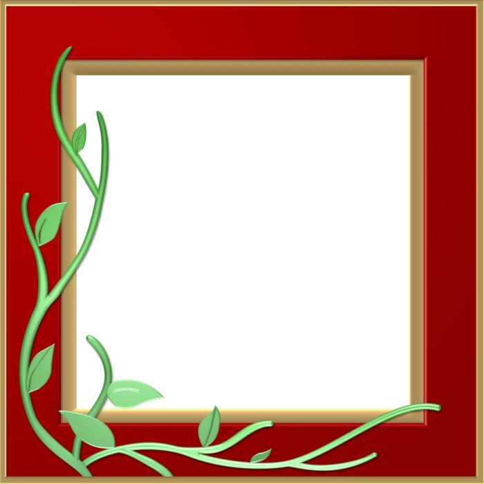 red frame border leaf stem