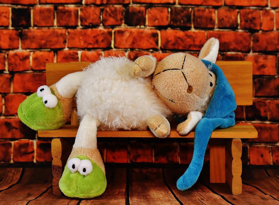 sheep sleepyhead funny
