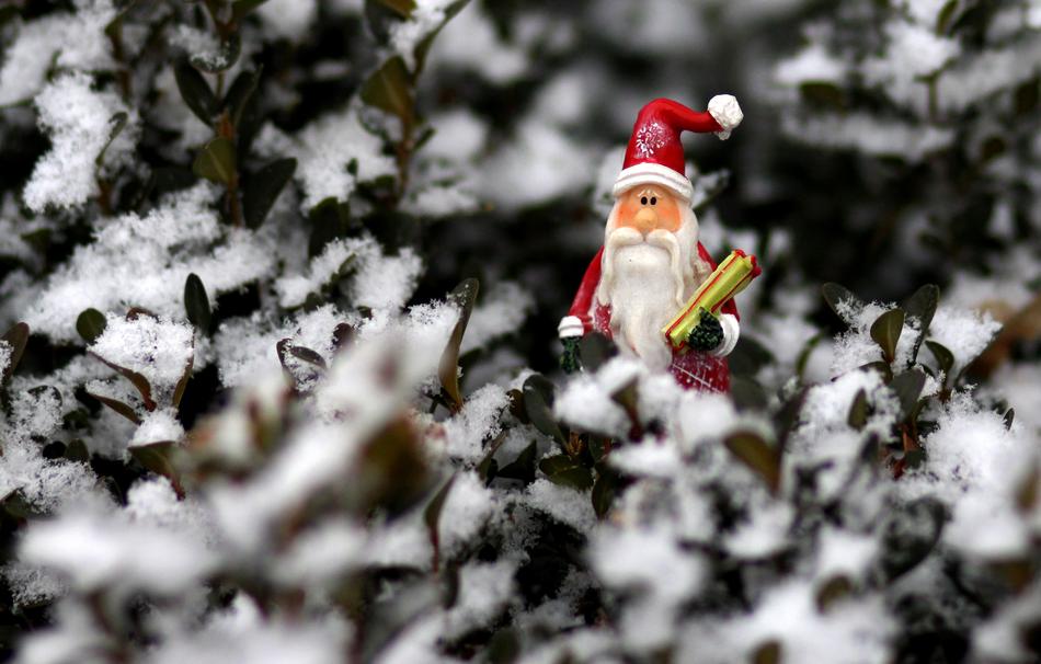 Decoration Winter Christmas