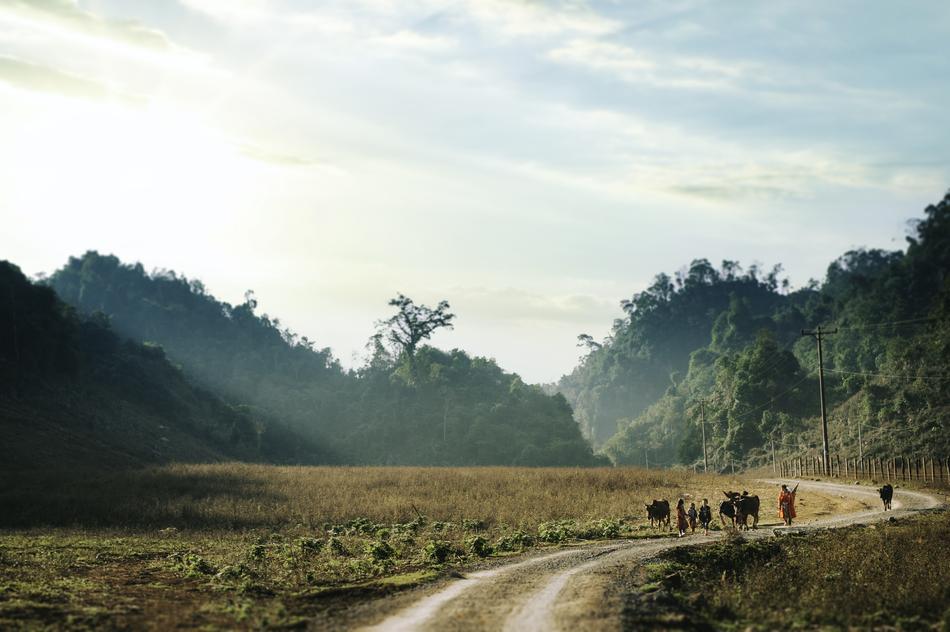 Lanscape Mountain