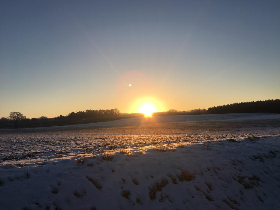 Dawn Sunrise Morgenrot