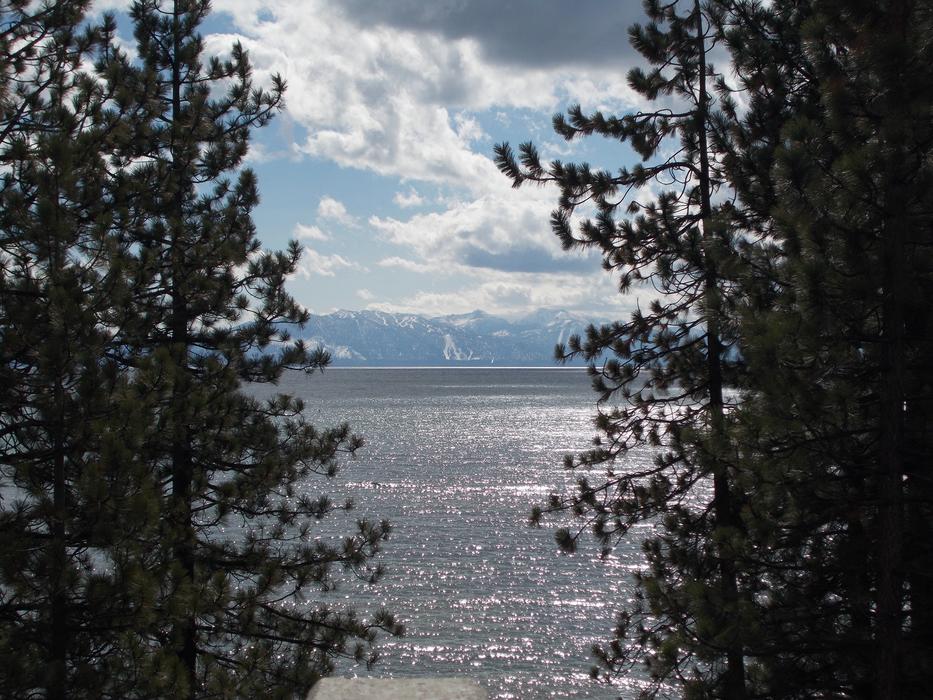 Sunlight illuminating the lake through the trees
