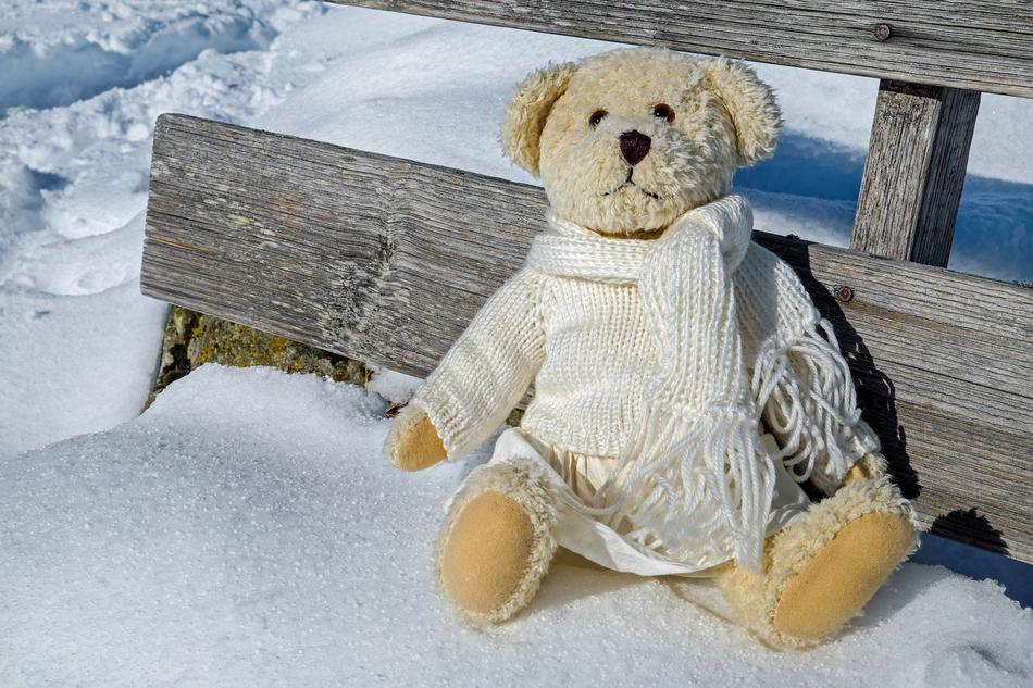 Teddy Plush Bears