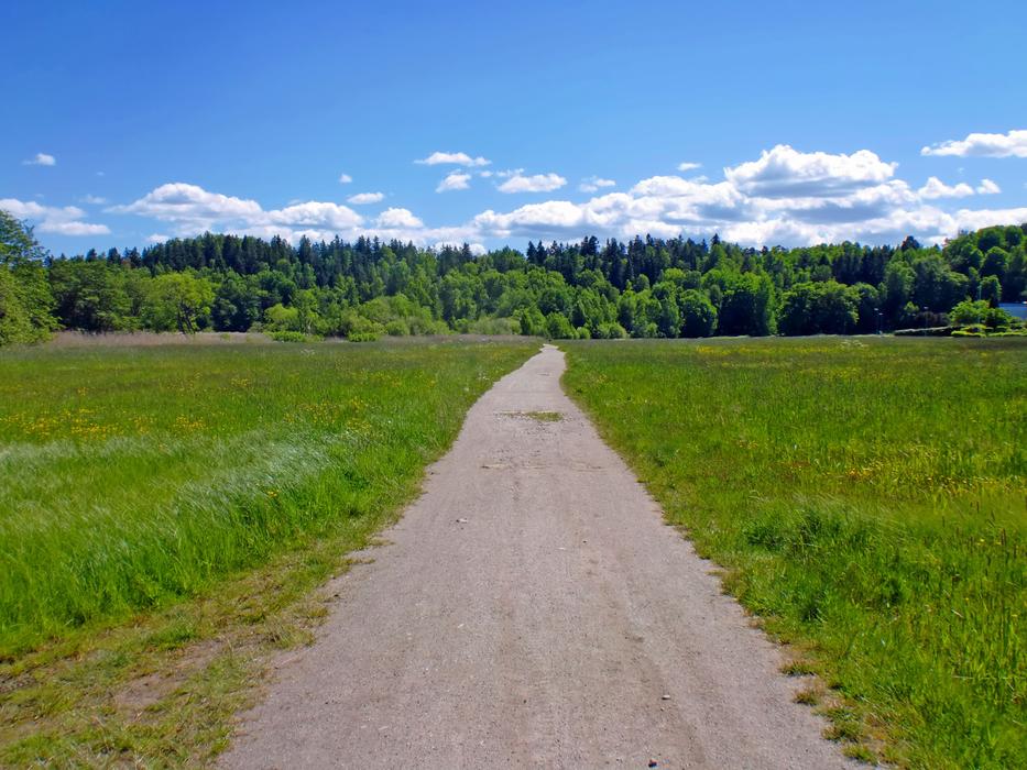 Road Landscapes Nature