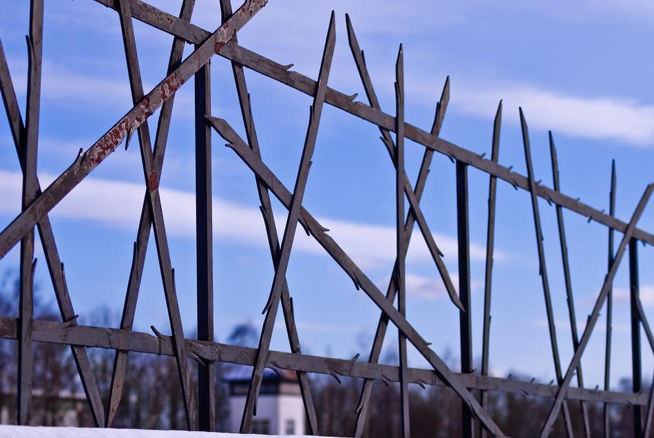 an iron fence in the garden