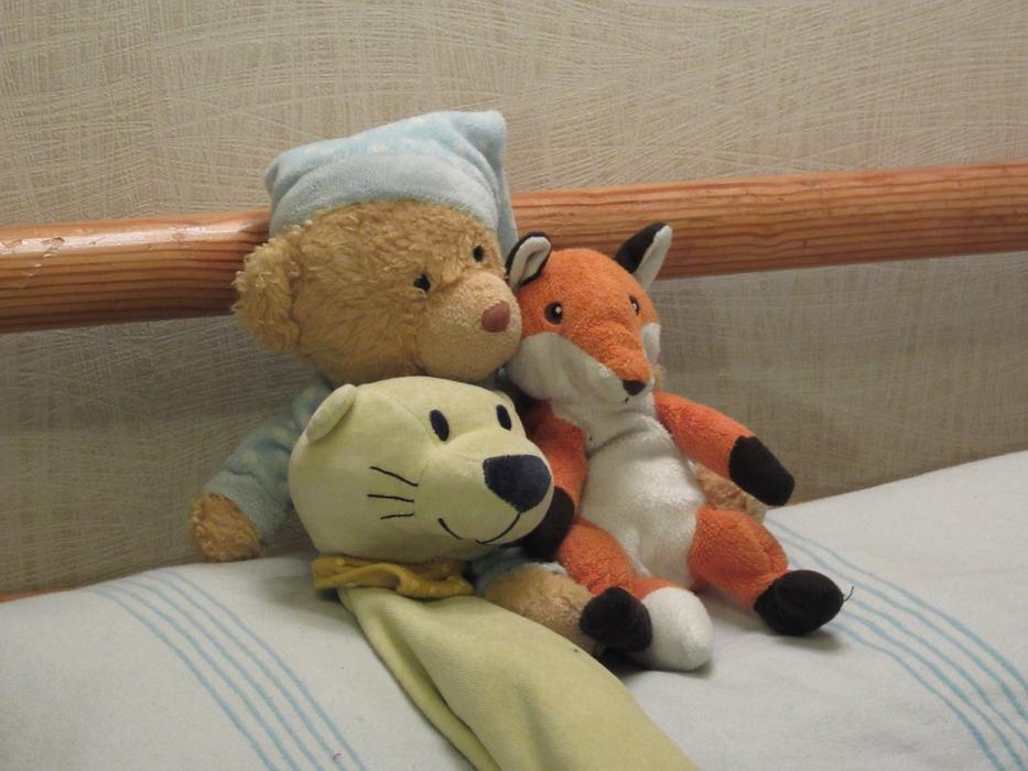 Teddies Stuffed Animals Children